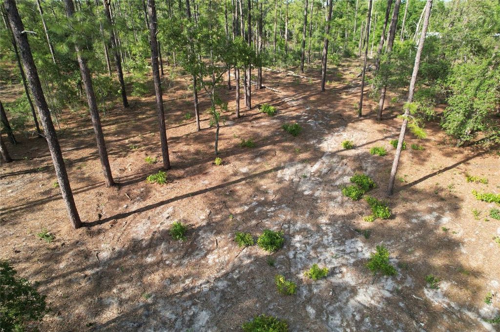 Photo of 148th Court, Morriston, FL 32668 (MLS # O6408026)