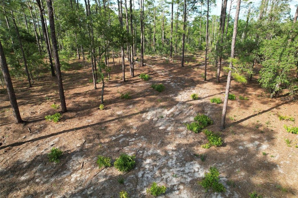 Photo of 148th Court, Morriston, FL 32668 (MLS # O6408026)