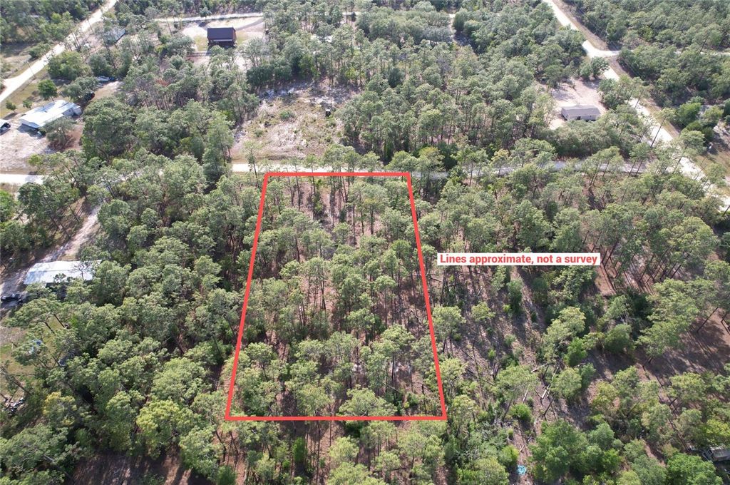 Photo of 148th Court, Morriston, FL 32668 (MLS # O6408026)