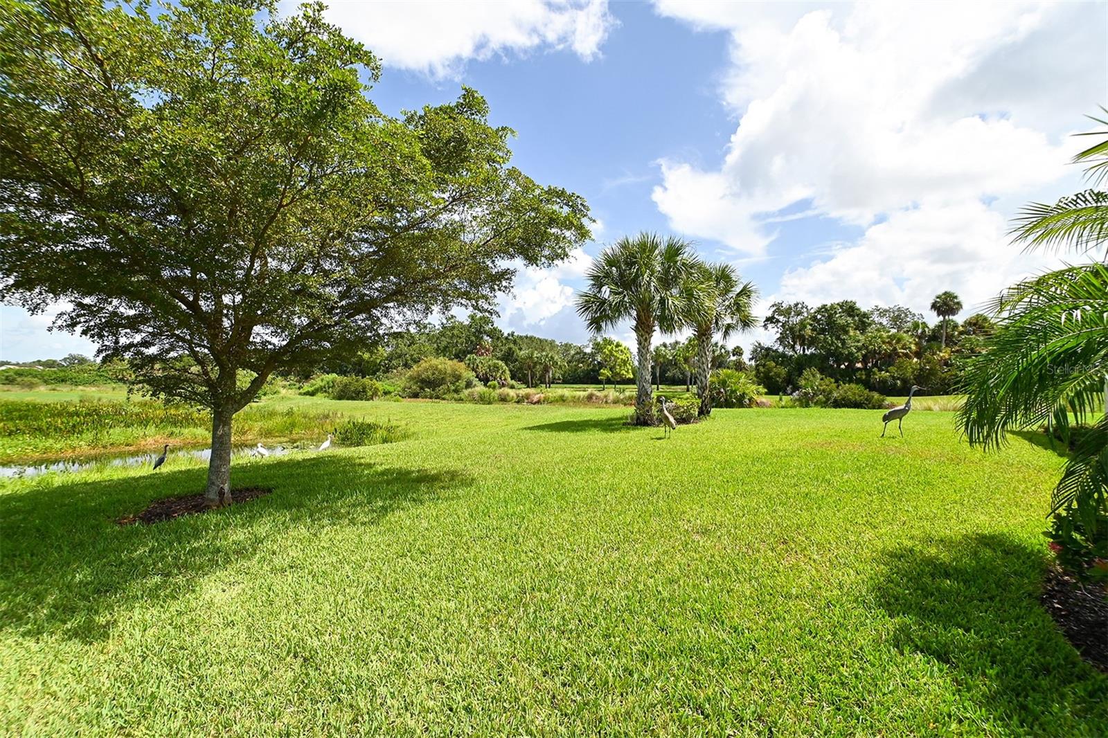 SANDHILL PRESERVE - Residential