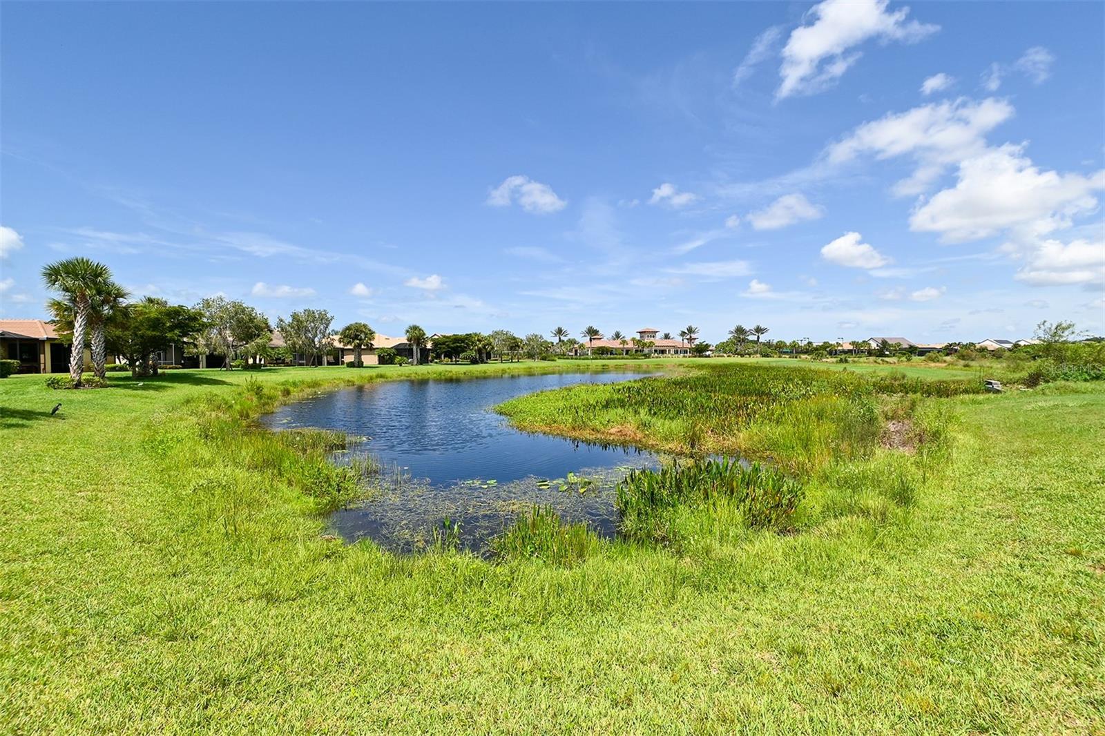 SANDHILL PRESERVE - Residential