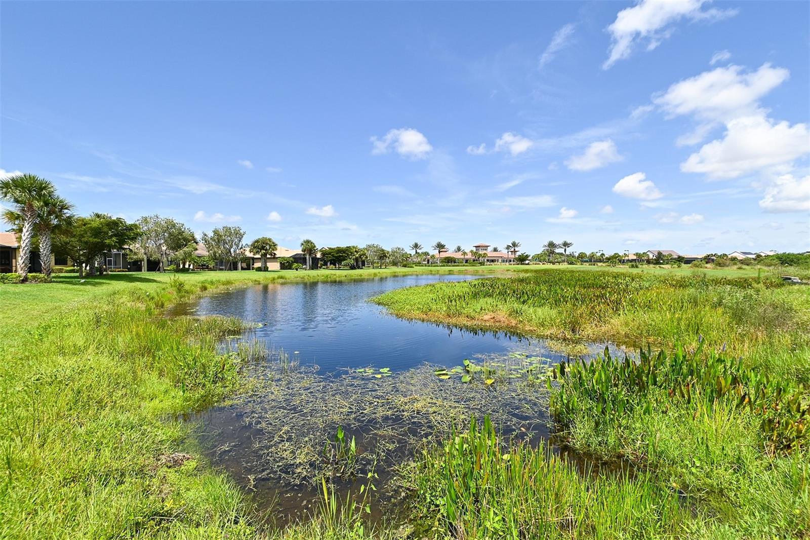 SANDHILL PRESERVE - Residential