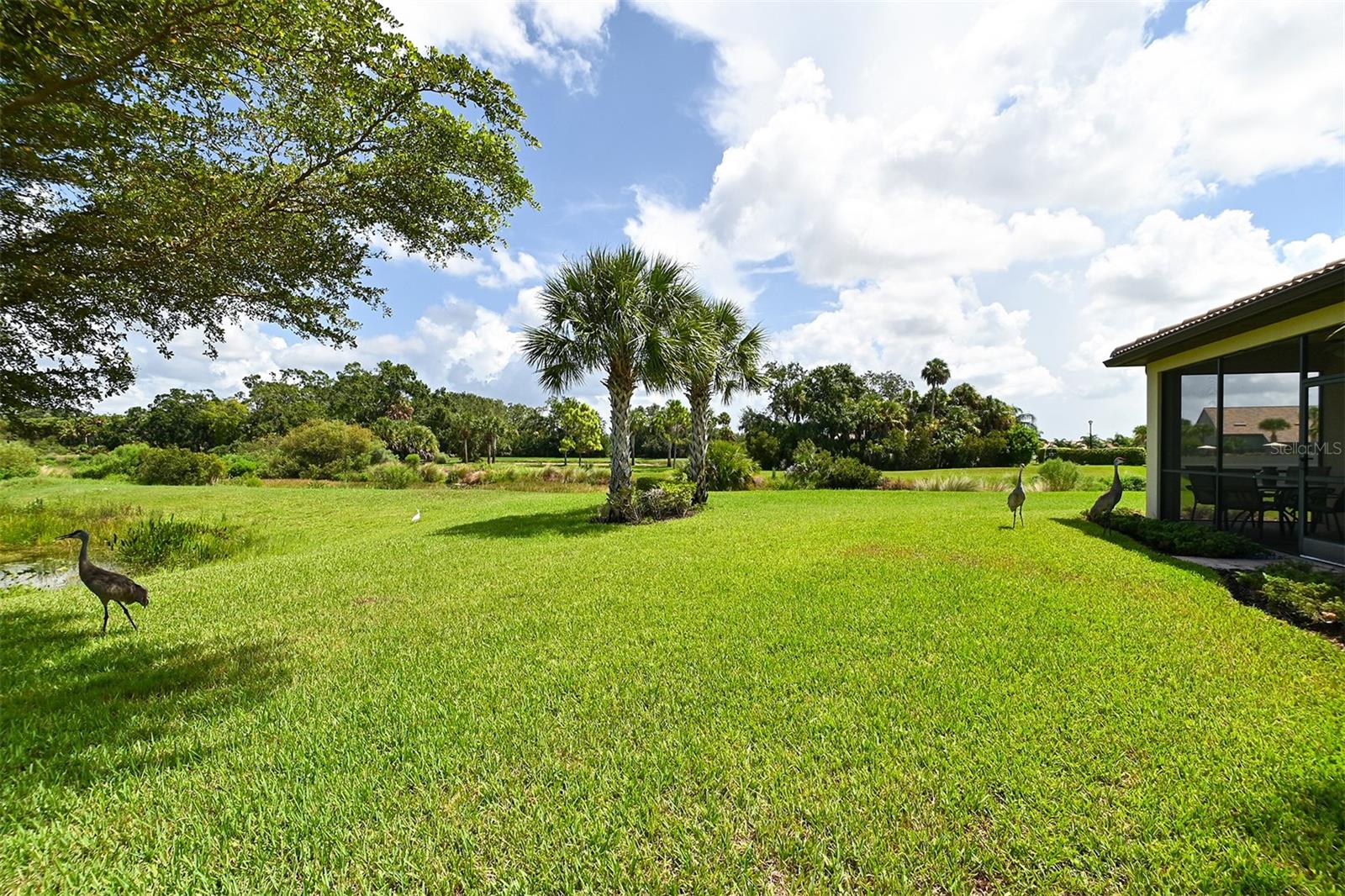 SANDHILL PRESERVE - Residential