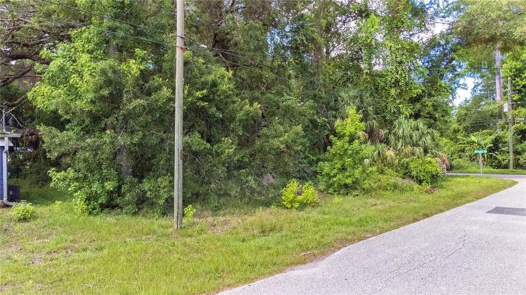 Photo of 6416 Theresa Avenue, Weeki Wachee, FL 34607 (MLS # TB8526485)