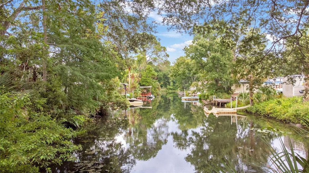 Photo of 6416 Theresa Avenue, Weeki Wachee, FL 34607 (MLS # TB8526485)