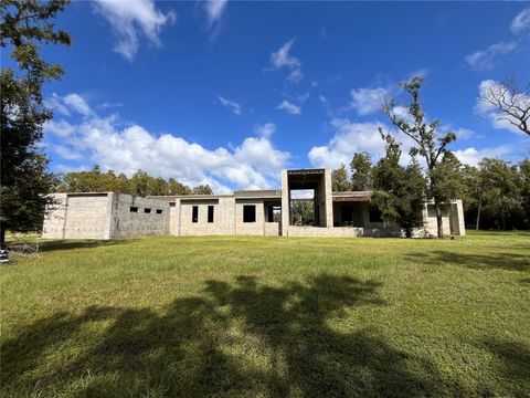 1029 VAN DYKE ROAD LUTZ FL 33548