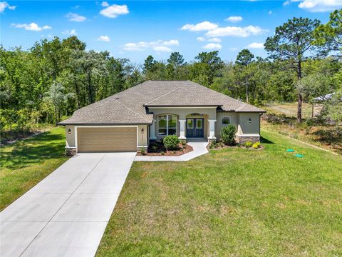 Photo of 12085 Harris Hawk Road, Brooksville, FL 34614 (MLS # TB8469311)
