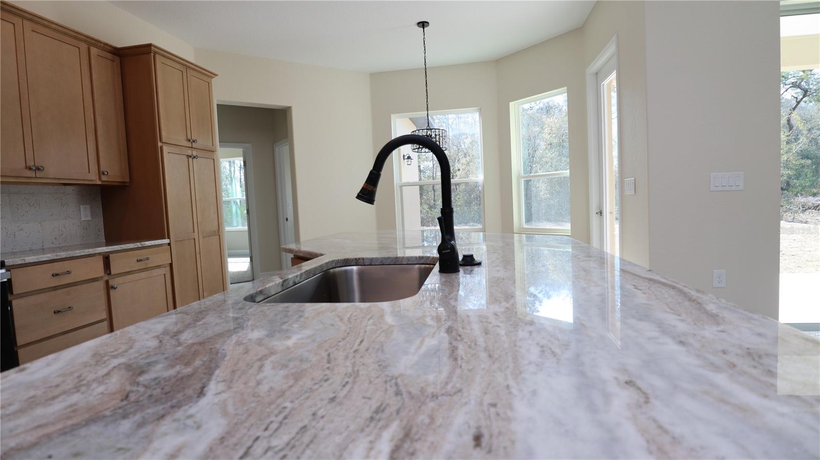 12085 HARRIS HAWK ROAD