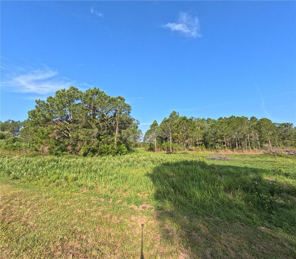 Photo of 11031 Arrowtree Boulevard, Clermont, FL 34715 (MLS # O6400653)