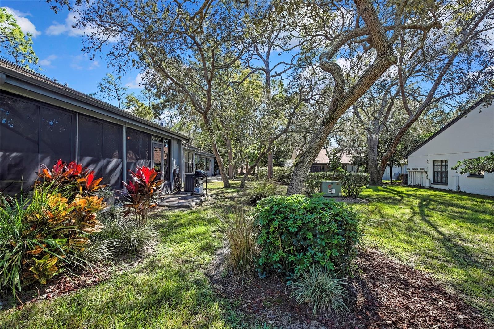 TMBR PINES PN GR VL - Residential