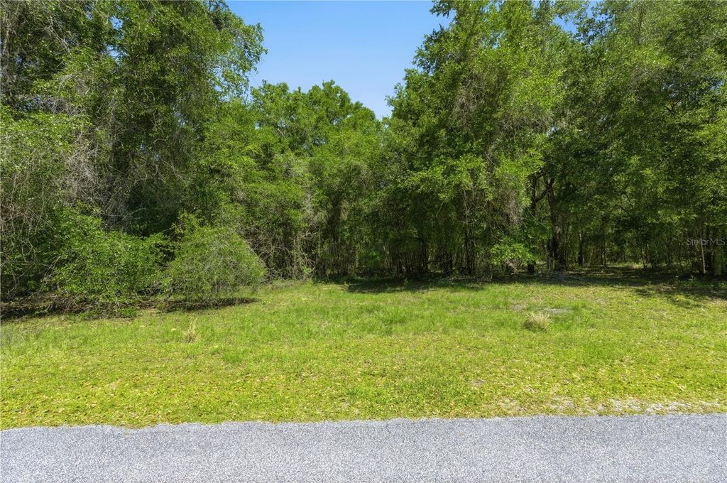 Photo of 0 Dark Star Trail, Brooksville, FL 34601 (MLS # W7884979)