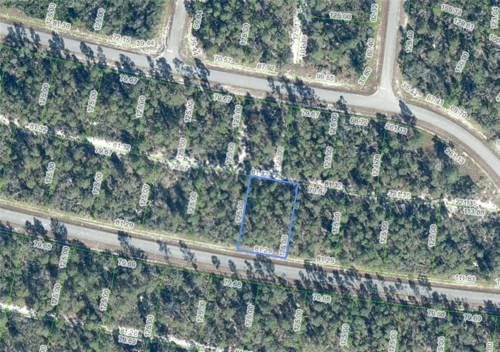 Photo of 7812 Altara Street, Sebring, FL 33872 (MLS # P4940296)