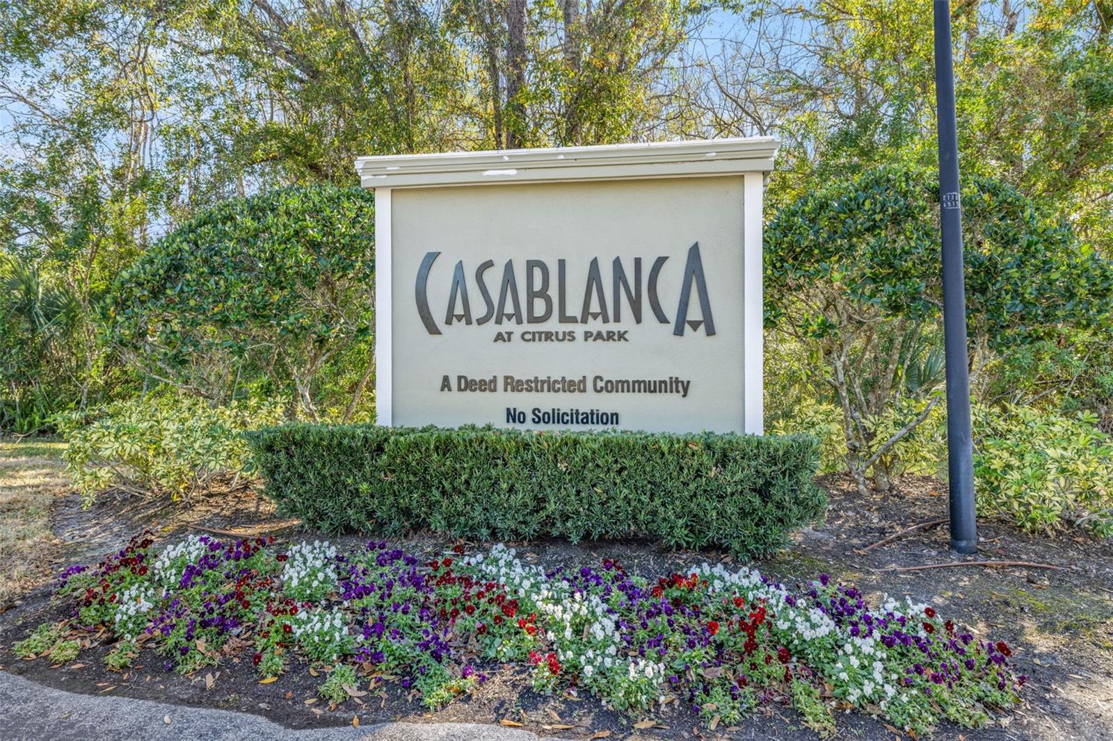 CASA BLANCA - Residential