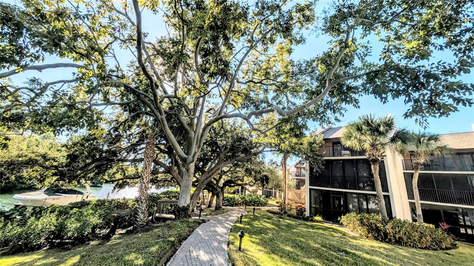 MIDNIGHT COVE II - Residential Lease