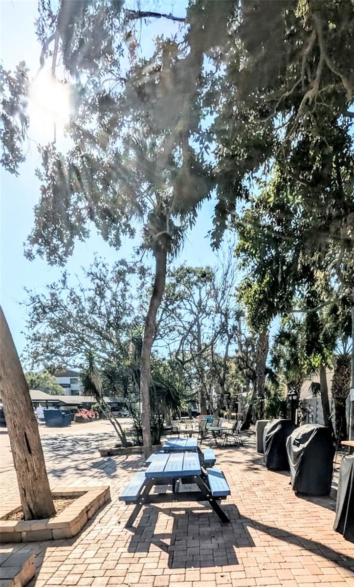 MIDNIGHT COVE II - Residential Lease