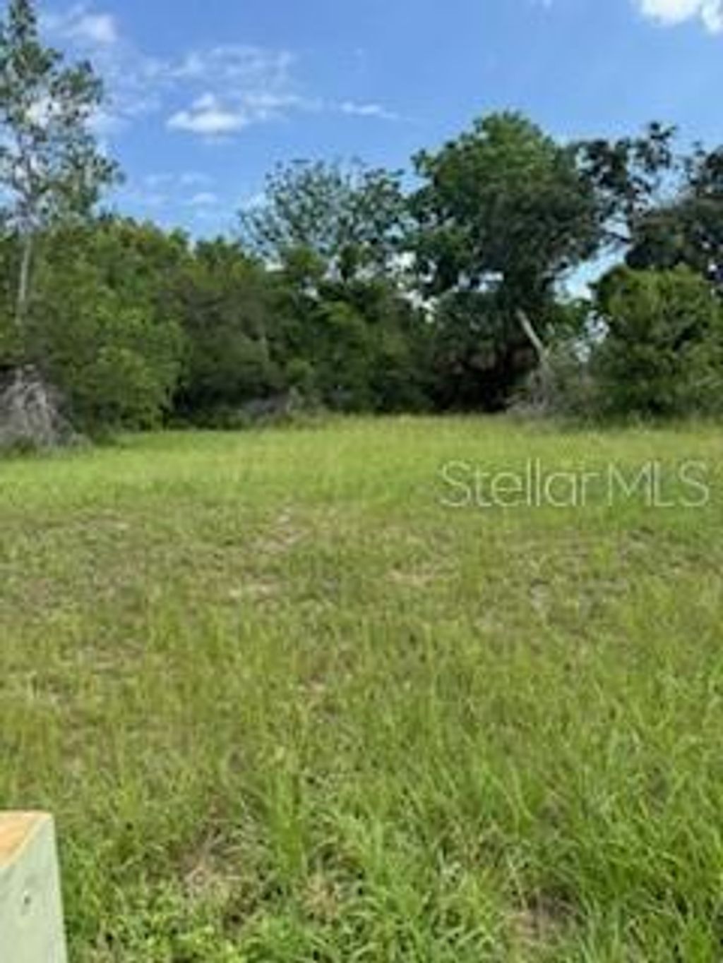 Photo of 29523 Chapel Park Drive, Wesley Chapel, FL 33543 (MLS # TB8431145)