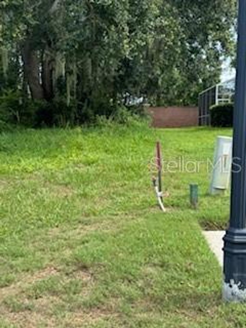 Photo of 29523 Chapel Park Drive, Wesley Chapel, FL 33543 (MLS # TB8431145)