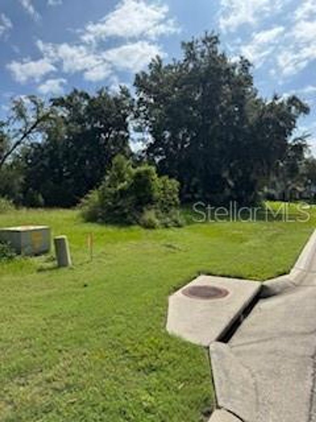 Photo of 29523 Chapel Park Drive, Wesley Chapel, FL 33543 (MLS # TB8431145)