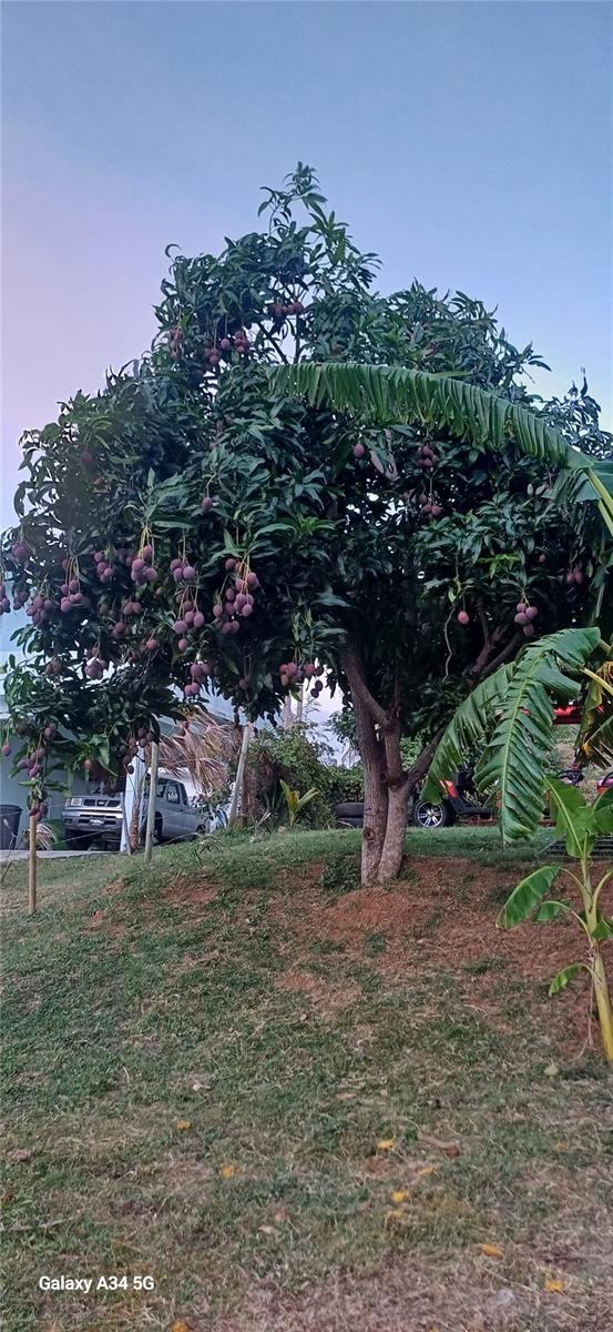 SANTA MARIA - Residential