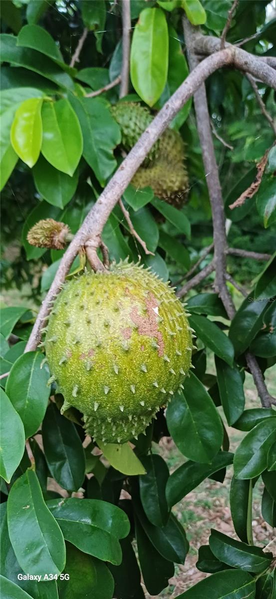 SANTA MARIA - Residential