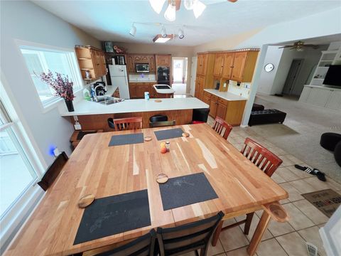 Tiny photo for 2975 E Withlacoochee Trail, Dunnellon, FL 34434 (MLS # TB8394719)