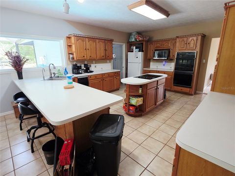 Tiny photo for 2975 E Withlacoochee Trail, Dunnellon, FL 34434 (MLS # TB8394719)