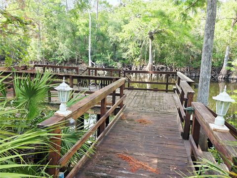 Tiny photo for 2975 E Withlacoochee Trail, Dunnellon, FL 34434 (MLS # TB8394719)