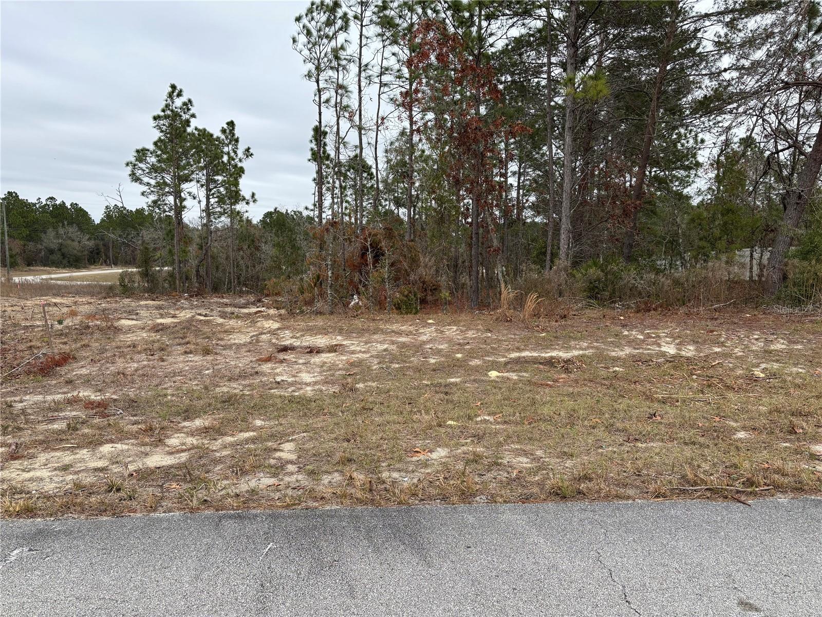 0 SW 85TH TERRACE 12