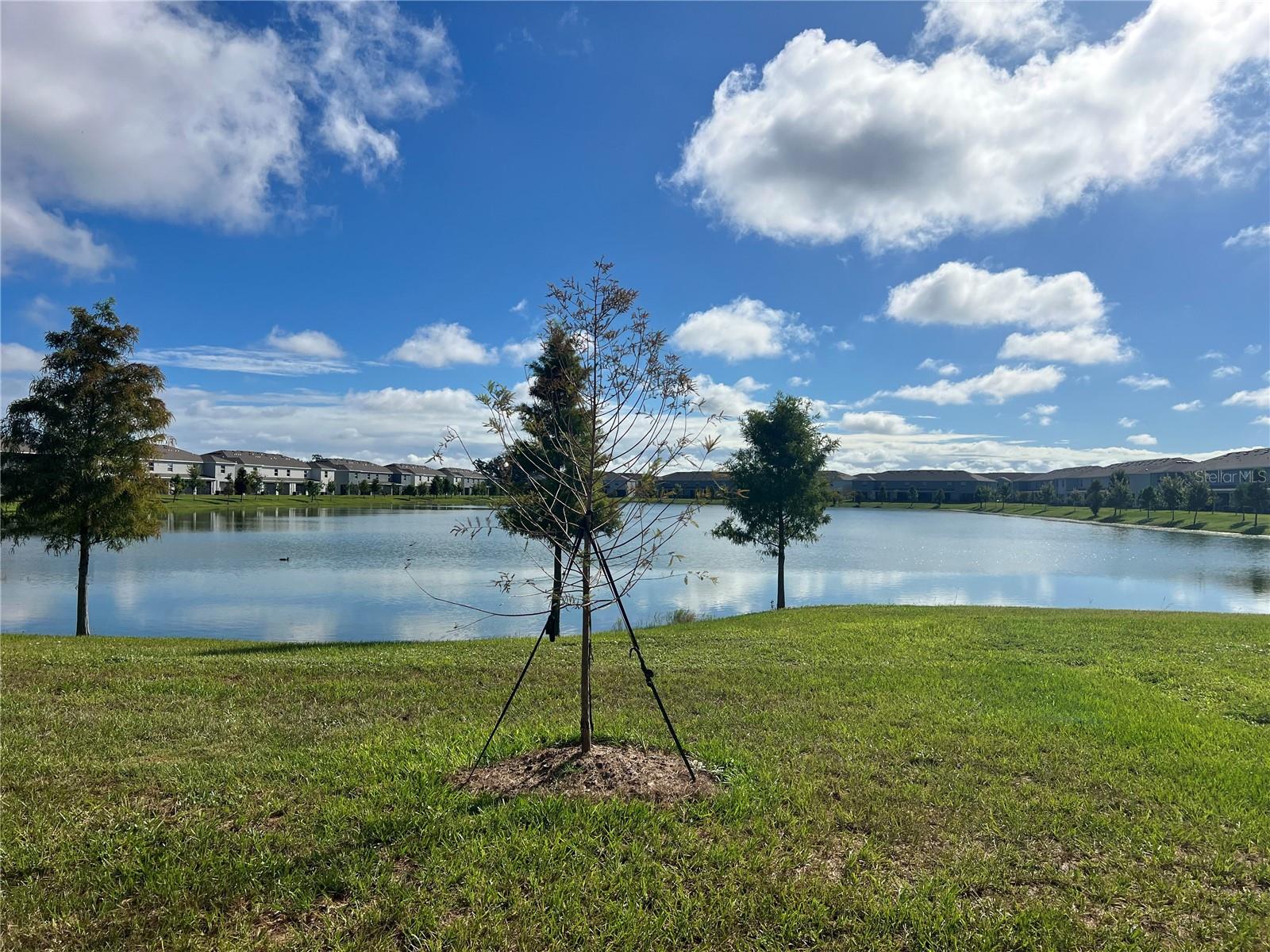 MANGROVE POINT PHASE 1 LOT 286 - Residential Lease