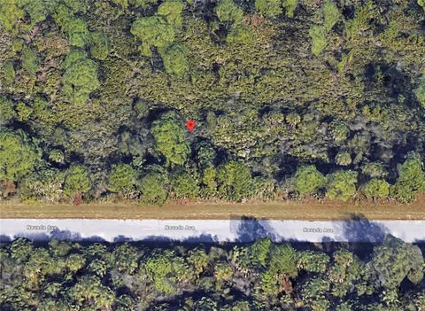 Photo of 14228 Nevada Avenue, Port Charlotte, FL 33953 (MLS # C7487244)