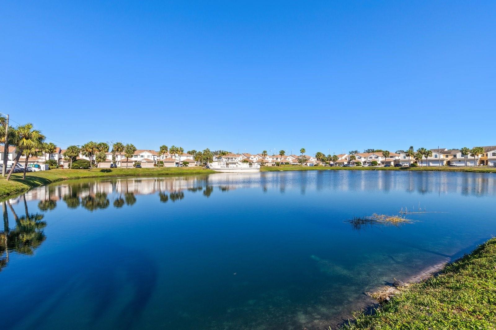 WILLOW LAKE - Residential