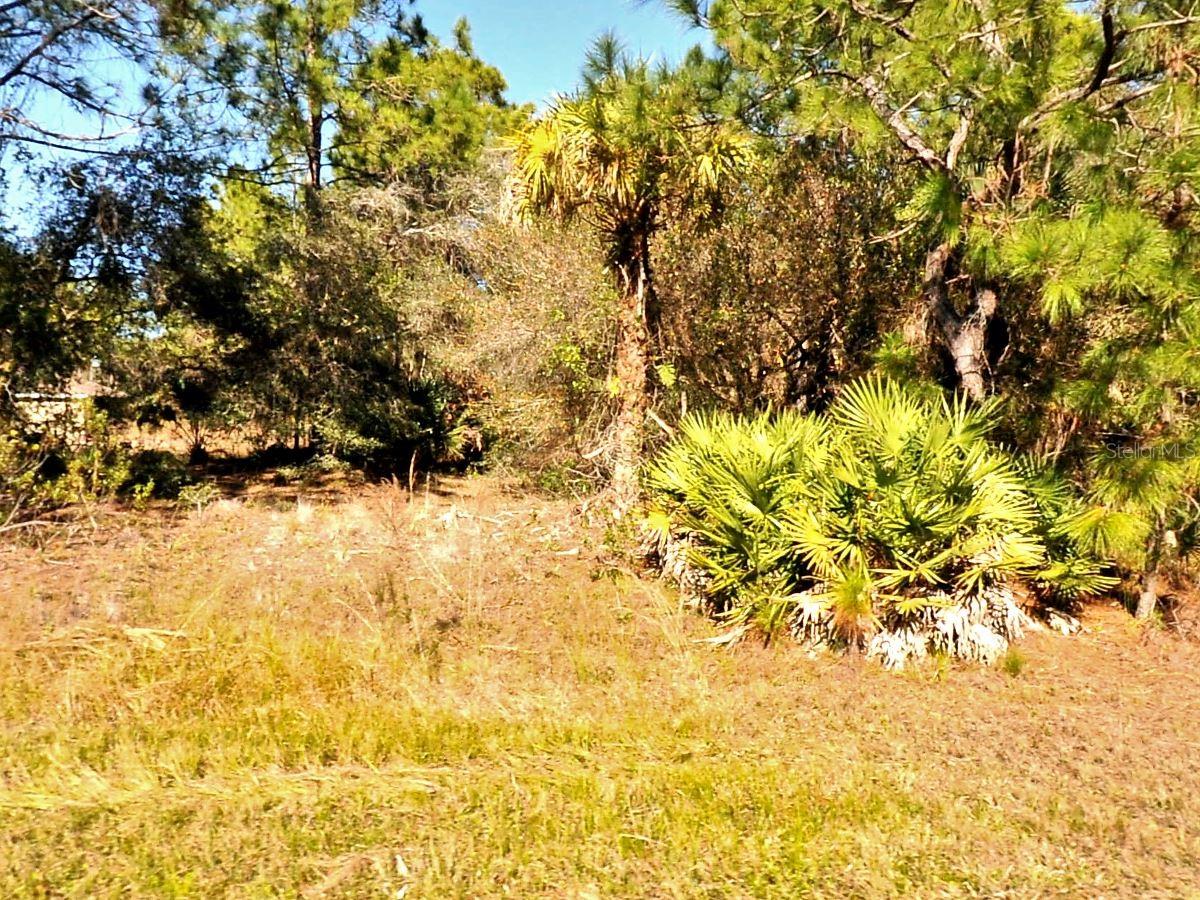 Don't miss out on this GORGEOUS piece of land just waiting for you to build your dream home on! An 80x125 LOT in the heart of North Port! Enjoy the peaceful lifestyle that this neighborhood affords in addition to the convenience of quick access to I-75 for those looking to commute to Sarasota or Fort Myers. The City of North Port offers so many community highlights including a brand-new Water Park, Braves Spring Training Stadium, shopping, dining, plenty of public parks, many popular golf courses, and only a 30-minute drive to pristine Gulf Coast Beaches and world class fishing! Don't miss this one; Drive by, take a look and make your offer today!
