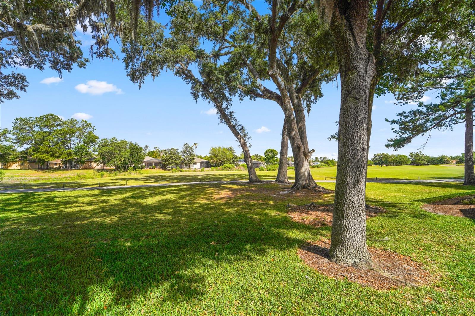 HERNANDO OAKS PH 1 - Residential