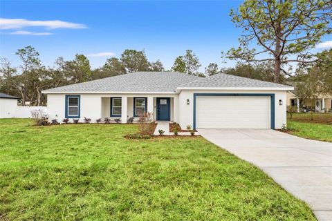 11362 PARAMOUNT AVENUE BROOKSVILLE FL 34614