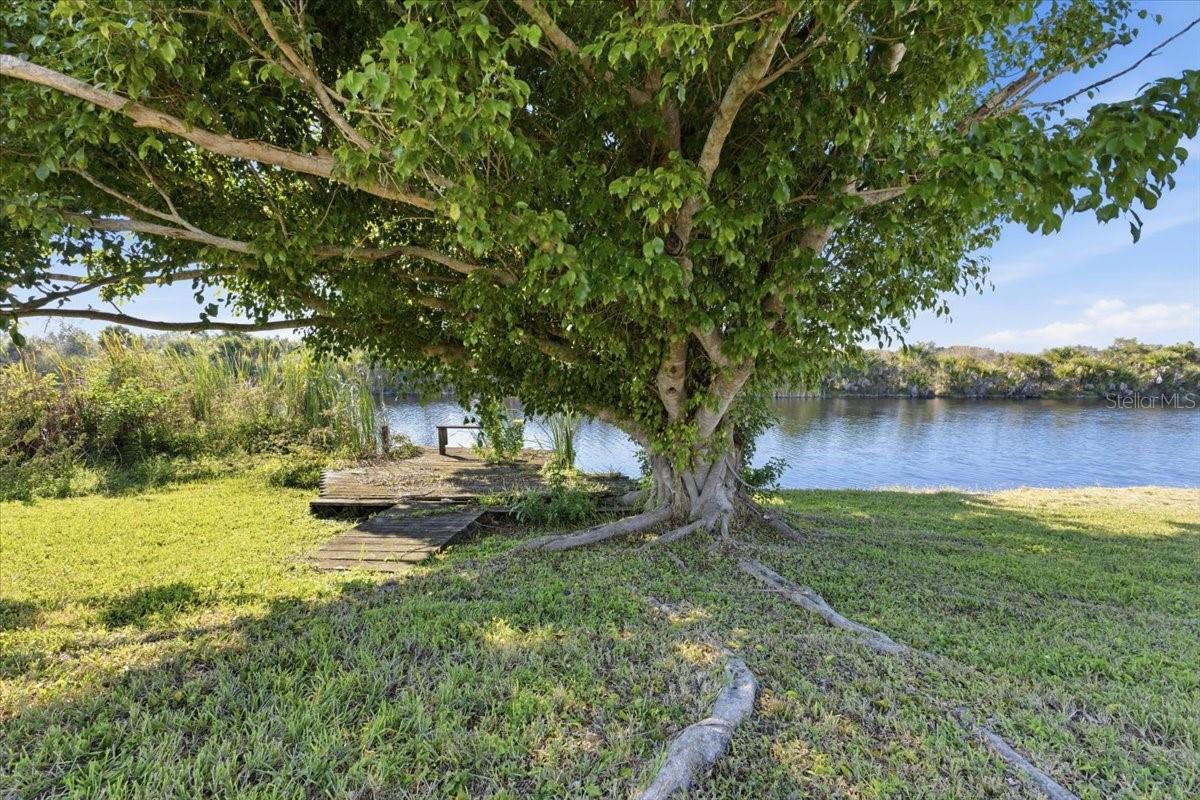 PORT CHARLOTTE SEC 095 - Residential Lease