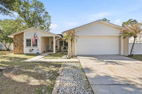 605 OAKMOSS DRIVE BRANDON FL 33511