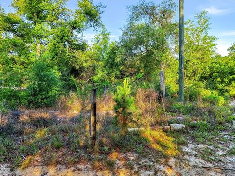 Tiny photo for Jewell Drive, Deland, FL 32720 (MLS # O6406316)