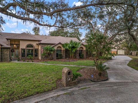 A home in RIVERVIEW