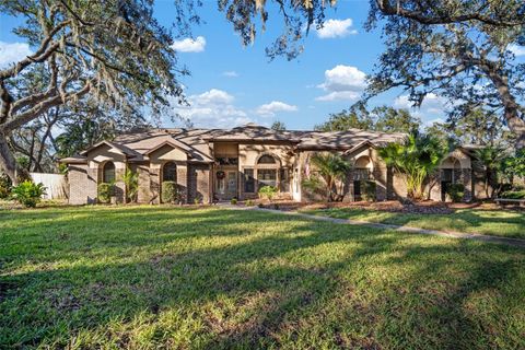 A home in RIVERVIEW