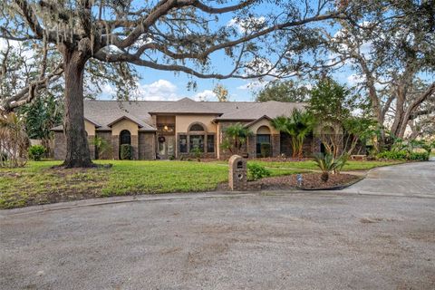 A home in RIVERVIEW