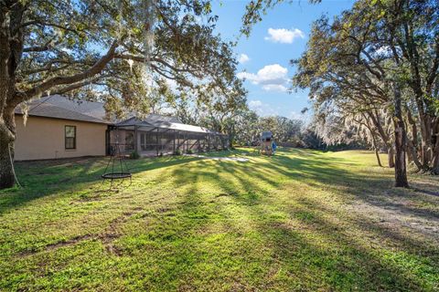 A home in RIVERVIEW