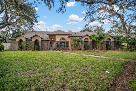 A home in RIVERVIEW