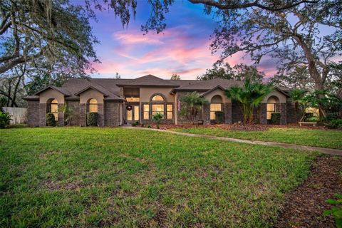 A home in RIVERVIEW