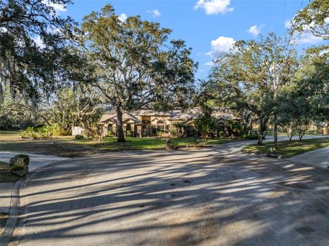 A home in RIVERVIEW