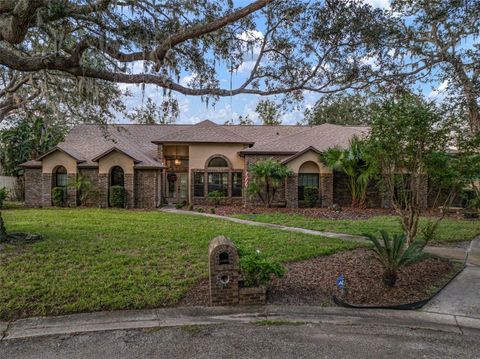 A home in RIVERVIEW