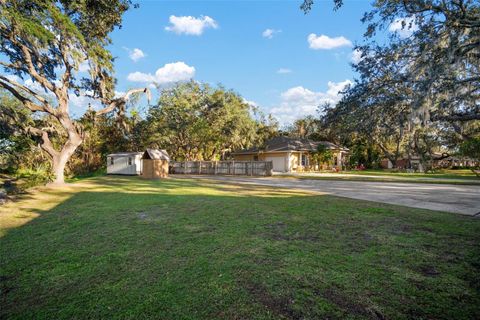 A home in RIVERVIEW