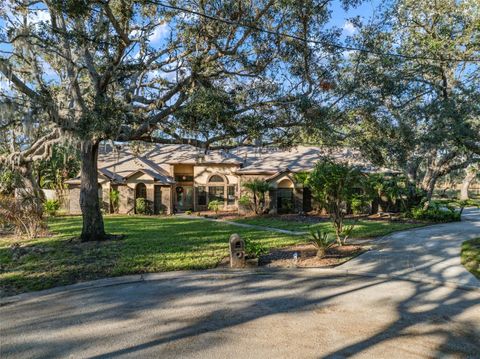 A home in RIVERVIEW