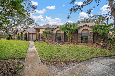 A home in RIVERVIEW