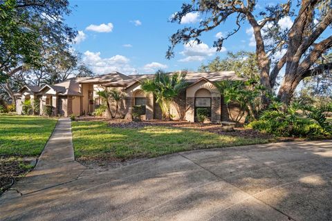 A home in RIVERVIEW