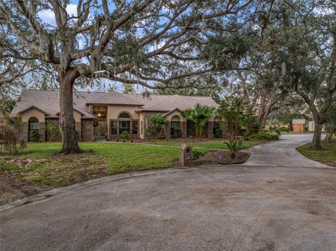 A home in RIVERVIEW